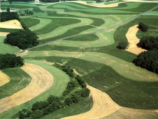 Aerial image of contoured plowed fields.