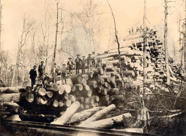 Shown here is a "skidway" of more than 3000 logs next to railroad tracks. Men stand along the tops of the pile that stretches across the landscape.