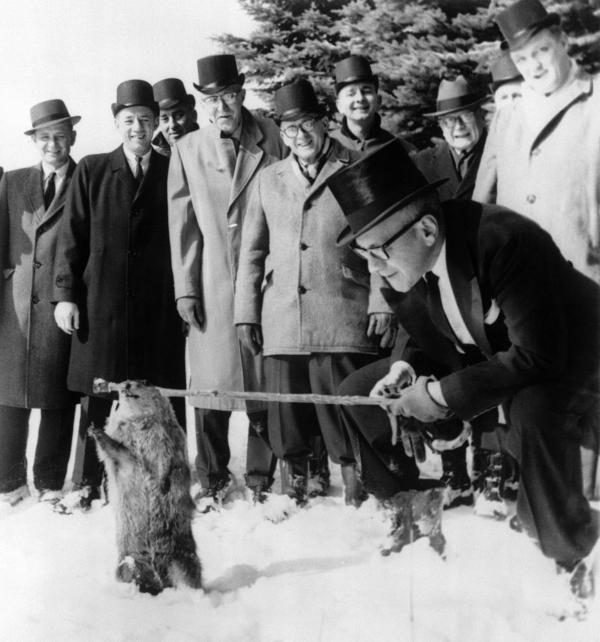 A snow covered ground and a group of men wearing winter coats and top hats, watch as a groundhog arises from his hole in the ground.