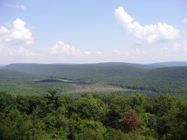 Photograph of Bear Meadows in Rothrock State Forest,  Huntingdon County, Pennsylvania, August 2012. 