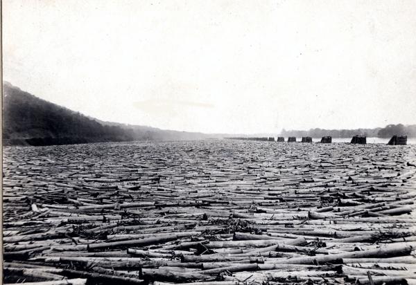 The enormous Susquehanna Boom extended for miles along the west branch of the Susquehanna River, near Williamsport, Pennsylvania. It was capable of holding close to a million logs at a time. 