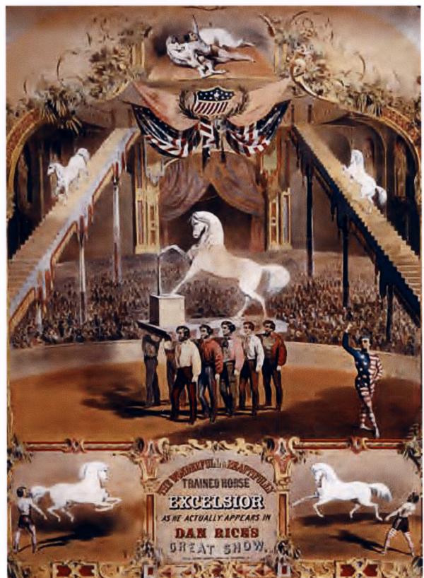 Cirus poster of the trained horse, standing on his hind legs, in the ring. Smaller images of his stunt capabilities encirle the canvas.