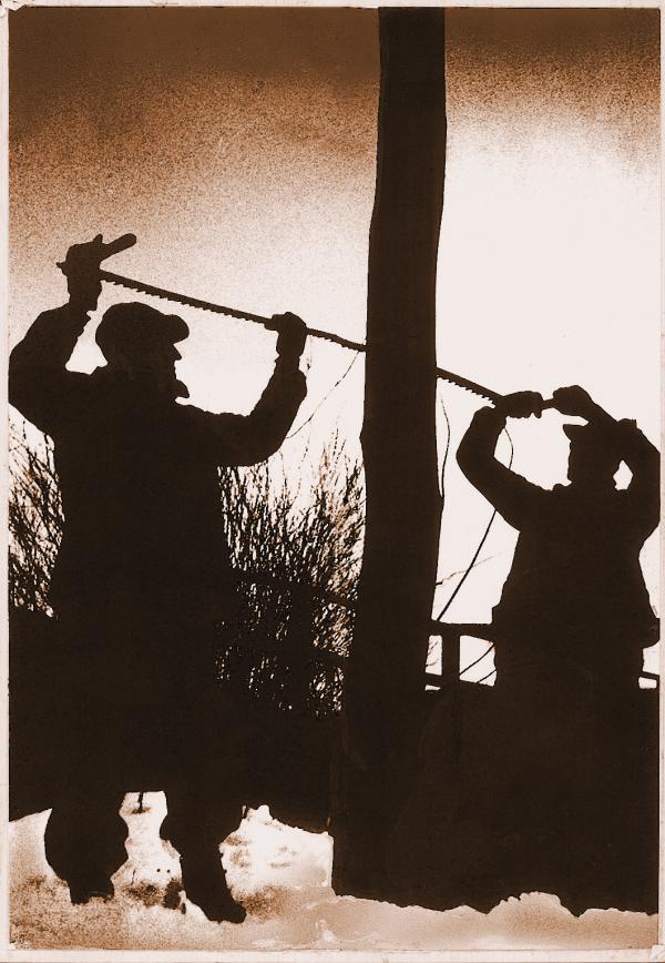 Dark image of shadowy figures sawing down a telephone pole