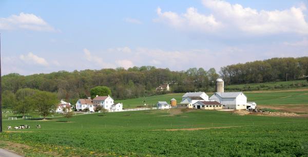 Lancaster County Farmland