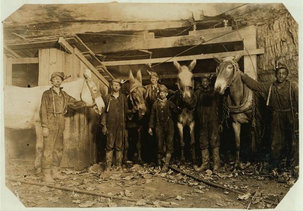 The photograph shows boys who work in the coal mines standing with horses at the mine entrance