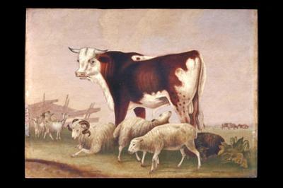 Oil on canvas of a Bull surrounded by sheep. 