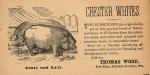 "Chester Whites" advertising card Thomas Wood, Doe Run, Chester Co.