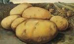 image of potatoes'