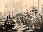 Shown here is a "skidway" of more than 3000 logs next to railroad tracks. Men stand along the tops of the pile that stretches across the landscape.