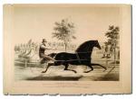 A man races his beautiful, black horse, who is harnessed to a cart.