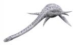 Drawing of Elasmosaurus platyurus Cope 