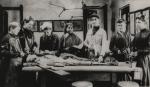 Seven women gathered around a table participate in a dissection.  