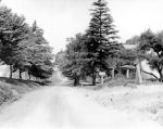 Image of a tree lined rural road  in front of Trinity Lutheran Church looking north on Brandt School Road in what was was then Franklin Township, Allegheny County