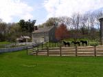 Exterior of home and grounds. Livestock and fencing in foreground. 