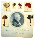 A portrait of Benjamin Smith Barton and some of his botanical images.