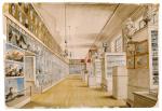 Watercolor of The Long Room, Interior of Front Room in Peale's Museum, with shelves housing plant and animal specimens and art.