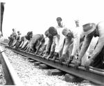 African American track workers