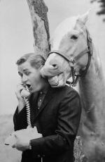 Alan Young with Mister Ed Talking on Telephone.