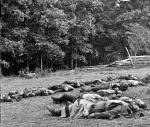 Grisly photograph of dead soldiers.