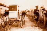 Horse and mail wagon are parked by rural mailbox as the mailman poses with satchel on shoulder and letter in hand