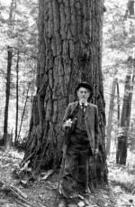 An elderly man with a long white beard is standing next a large tree trunk.