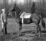 Horse and Major General