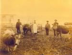 Image of four workers and three cows at a dairy farm at Robesonia Iron Company.